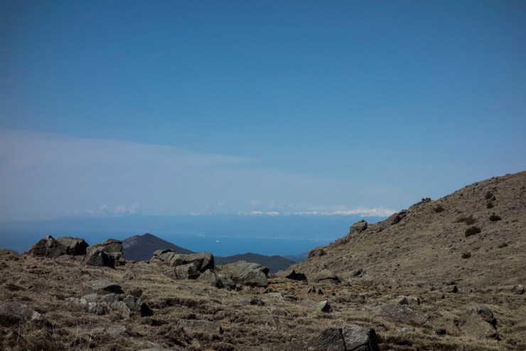 48074140657_f11222df3d_k