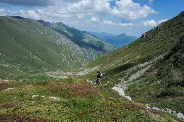 48455446856_93d6731c1b_k