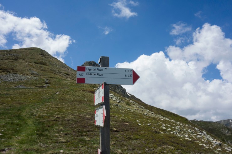 48455456366_d3d62f6be1_k