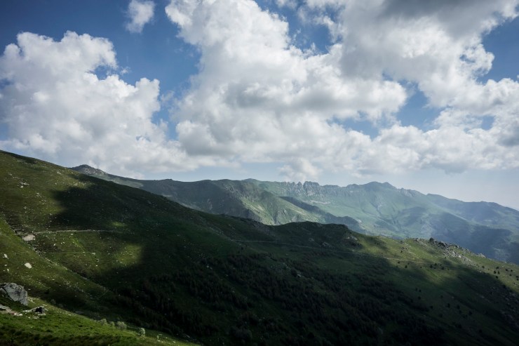 48455485301_49a9ecbb08_k