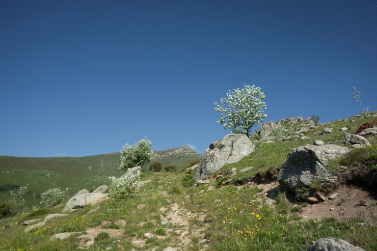 48455499881_e9b310de2f_k