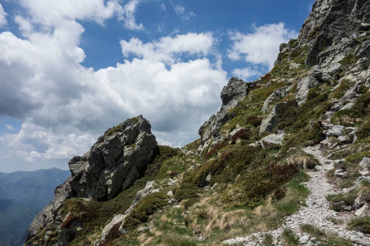 48455631782_95cc9bab31_k