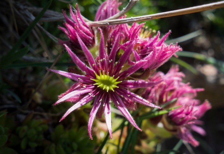 48455652452_87290c603c_k