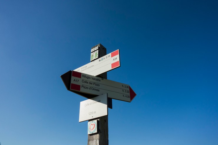 48455669267_81e73e2ae5_k (1)