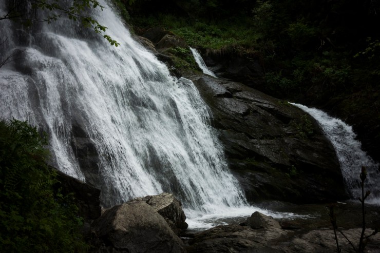 48160239741_327e905782_k