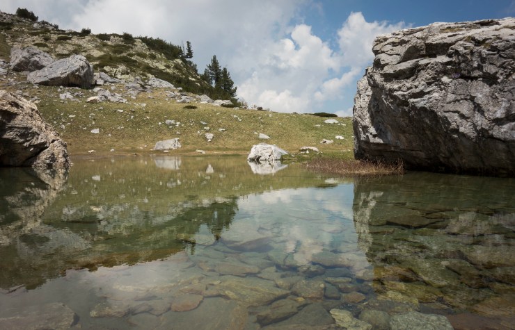 48160340342_61fe184438_k