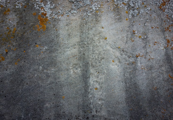 48204825151_bba85433ea_k