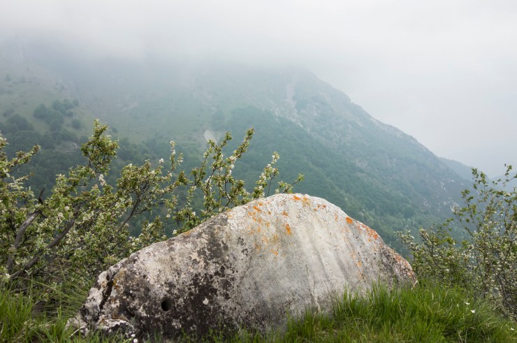 48204828016_e07288306d_k