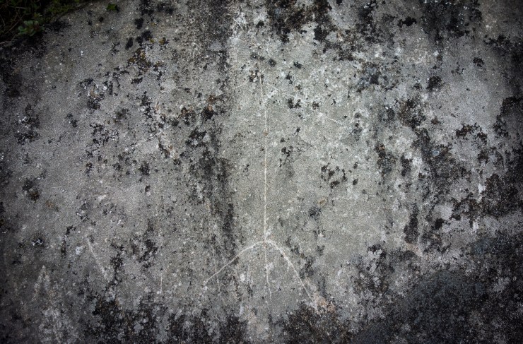 48204829416_52a5b138ce_k