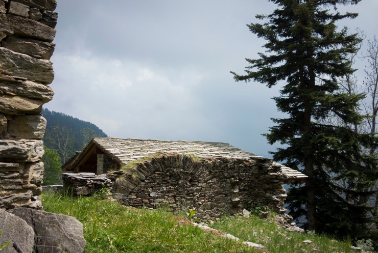 48204834771_814f4d5fe4_k