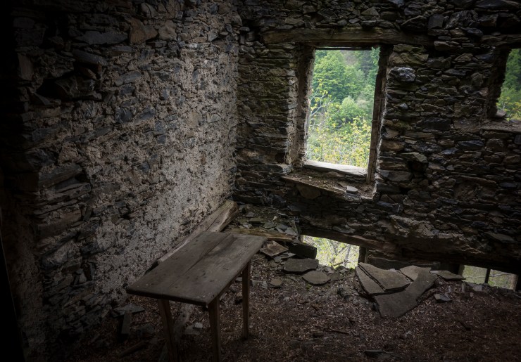 48204844666_049b9c48b2_k