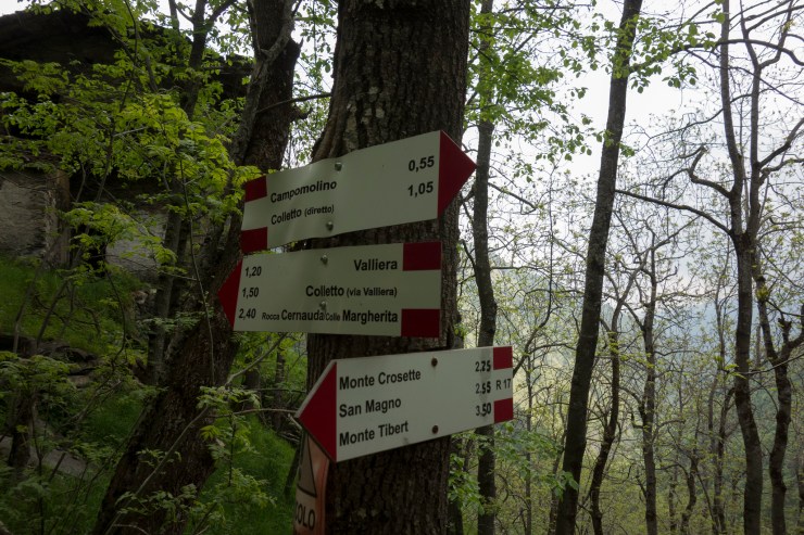 48204845636_765f9a486b_k