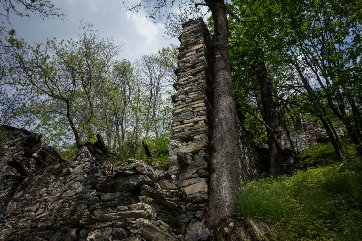 48204848501_db15a4b32a_k