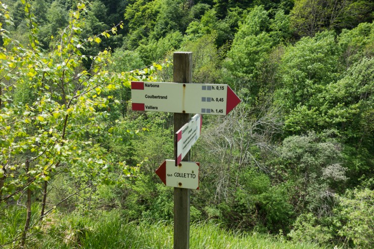 48204850016_66ea57e128_k