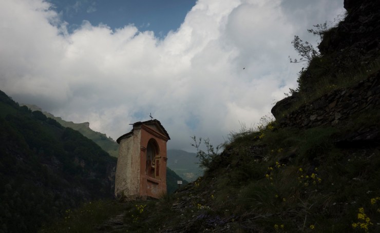 48204854001_fcd265b615_k