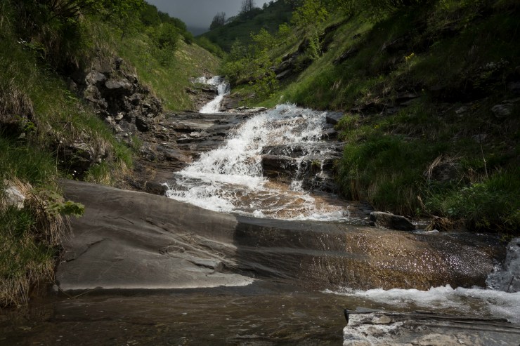 48204860607_dac47547b0_k