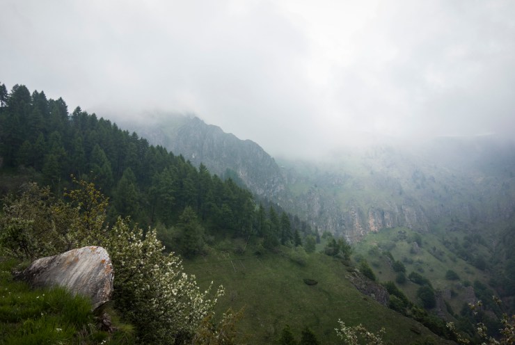 48204869842_4f34df3a4a_k