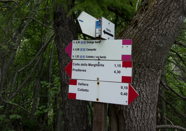 48204886132_63e159fd11_k