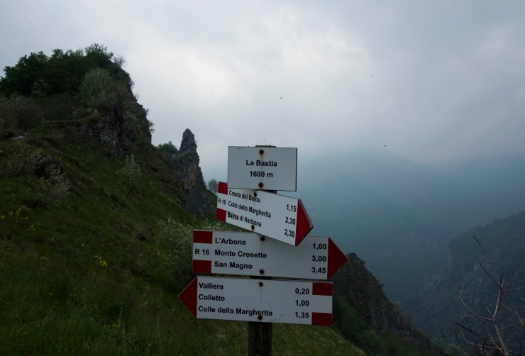 48204891252_85aeec7166_k