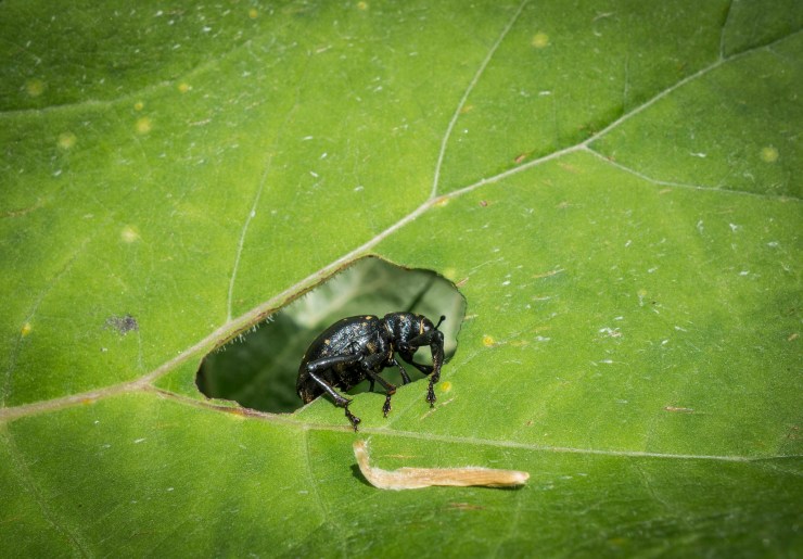 48204900882_6a30d44097_k