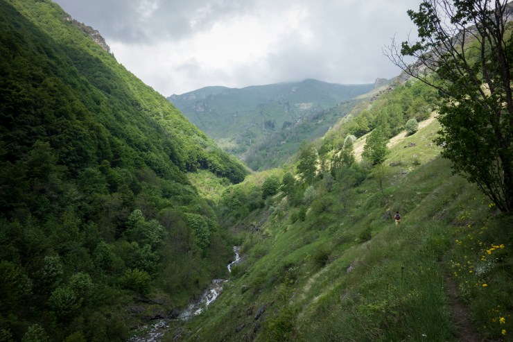 48204902402_db0cfab7a5_k