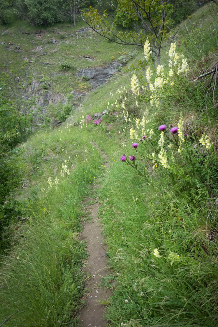 48204910732_cf9674d3d7_k