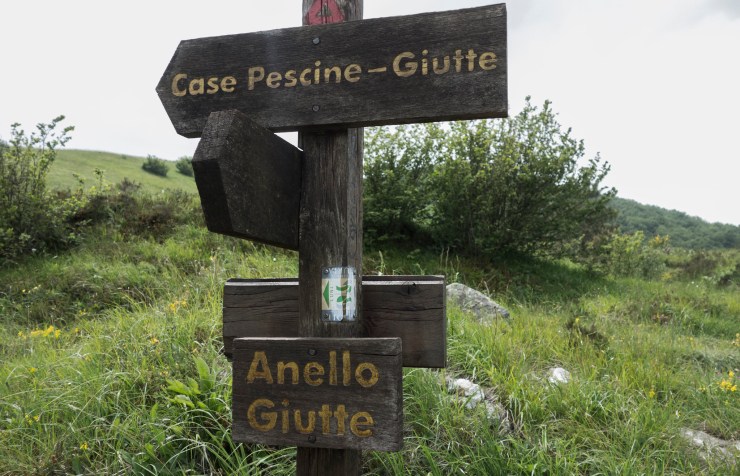 48309856496_febc1e519c_k