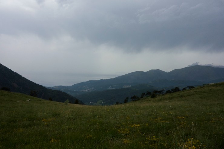 48309857771_831e1f76a1_k