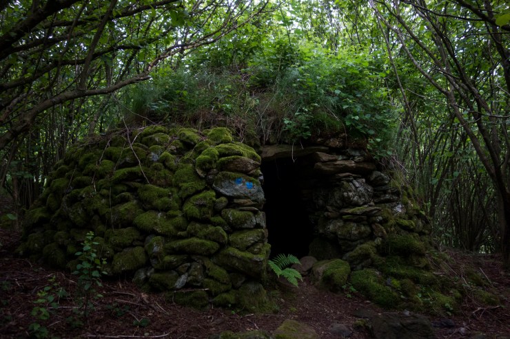 48309858731_36cba8180b_k