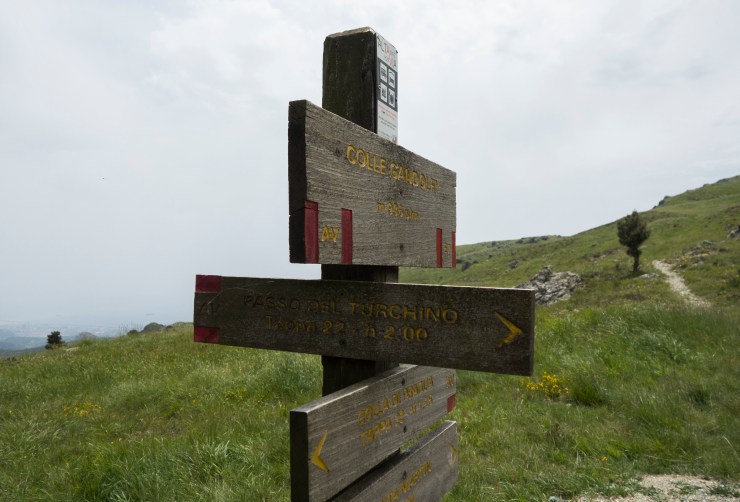 48309860971_50150219ee_k