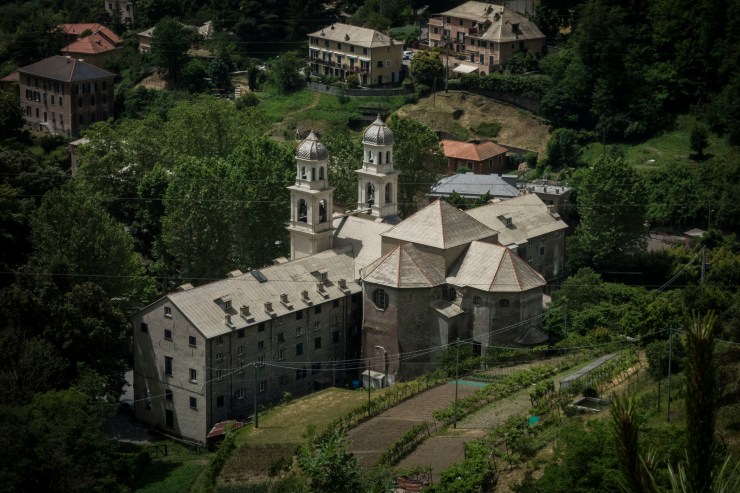 48309944856_b7516b77d8_k