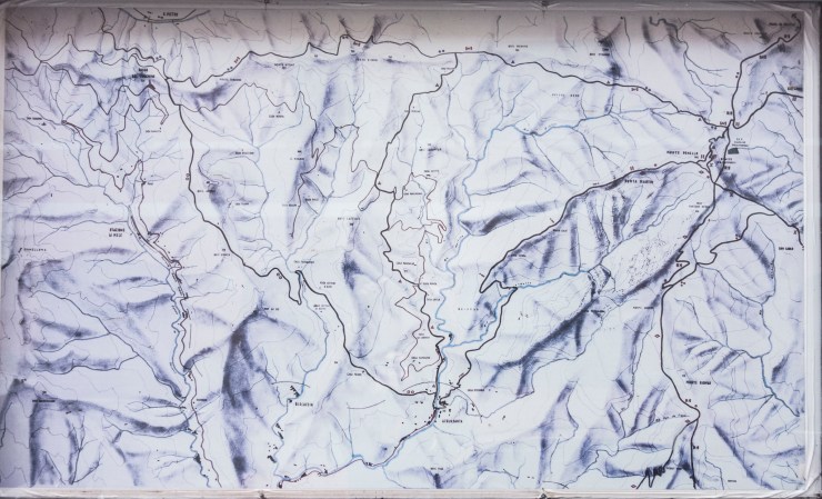 48309955841_a5ef8a805b_k