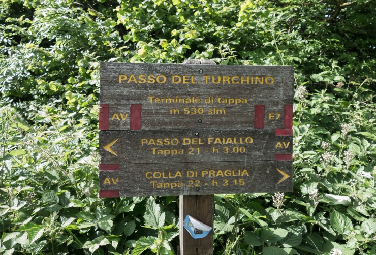 48309966217_288a9609ba_k