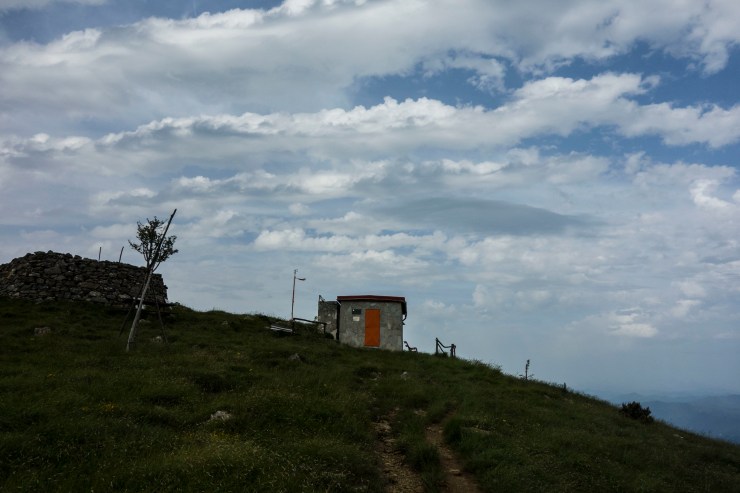 48309982137_7a3305f64b_k