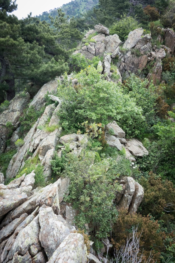 48310043037_e08e6f09eb_k