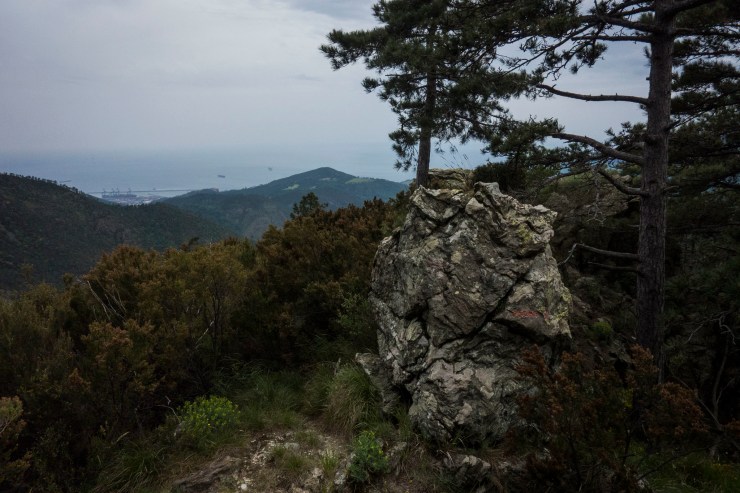 48310045017_dfc4240875_k