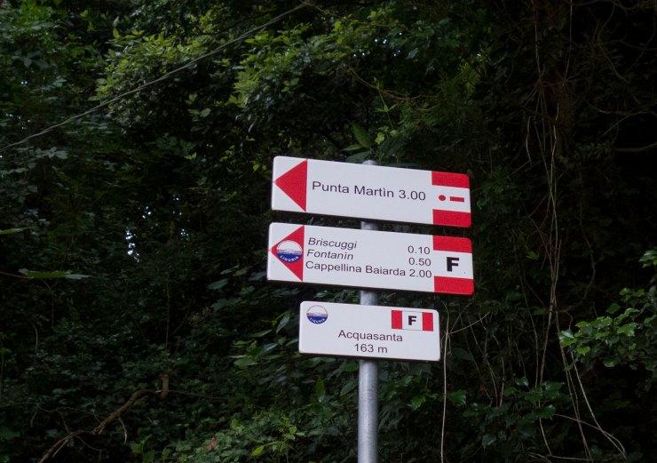 48310054977_6a58a88435_h