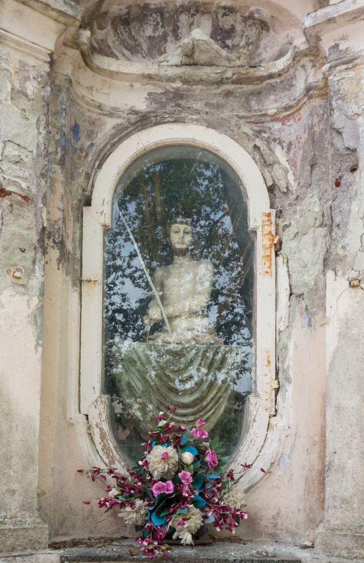 48310063572_ca9cb18701_k