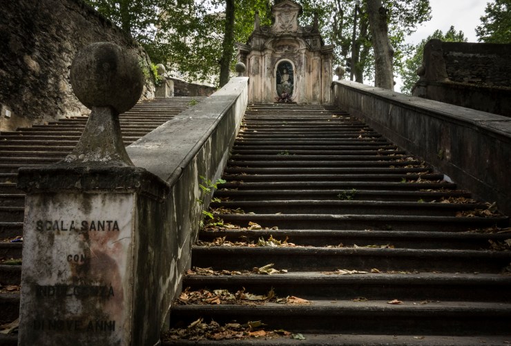 48310064877_320e66069e_k