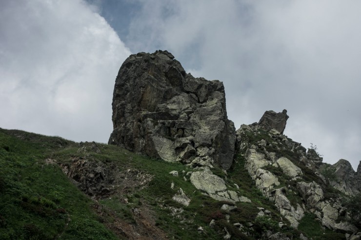 48512809901_1f320d93e8_k