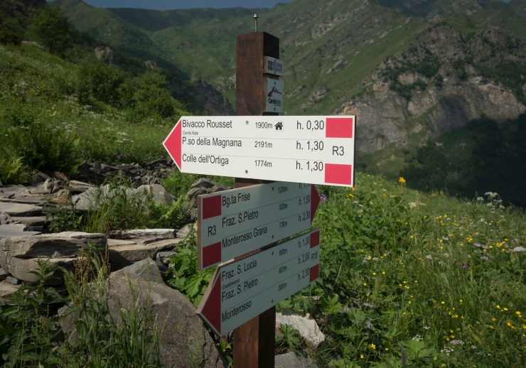 48512819211_ef24e33434_k