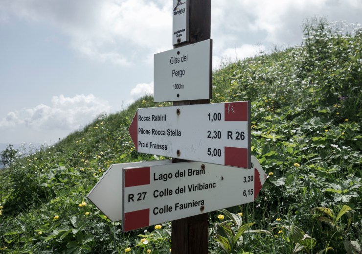 48512957412_827cb448ed_k