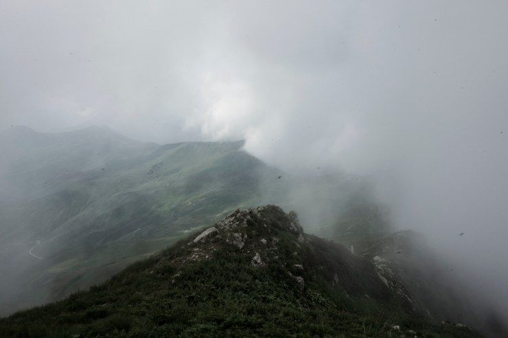 48512961242_6d1266c0bf_k