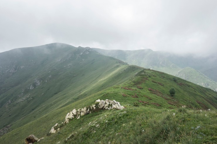 48512979857_27216dca03_k