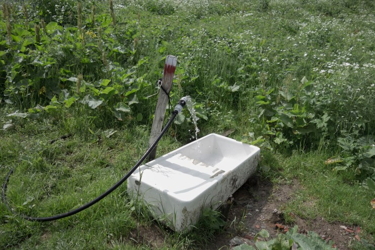 48512993387_66261488a5_k