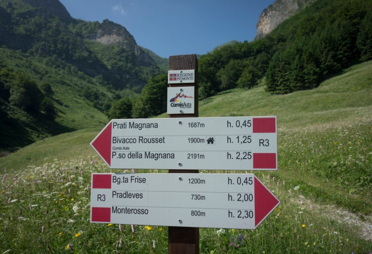 48512999177_84ff04e136_k